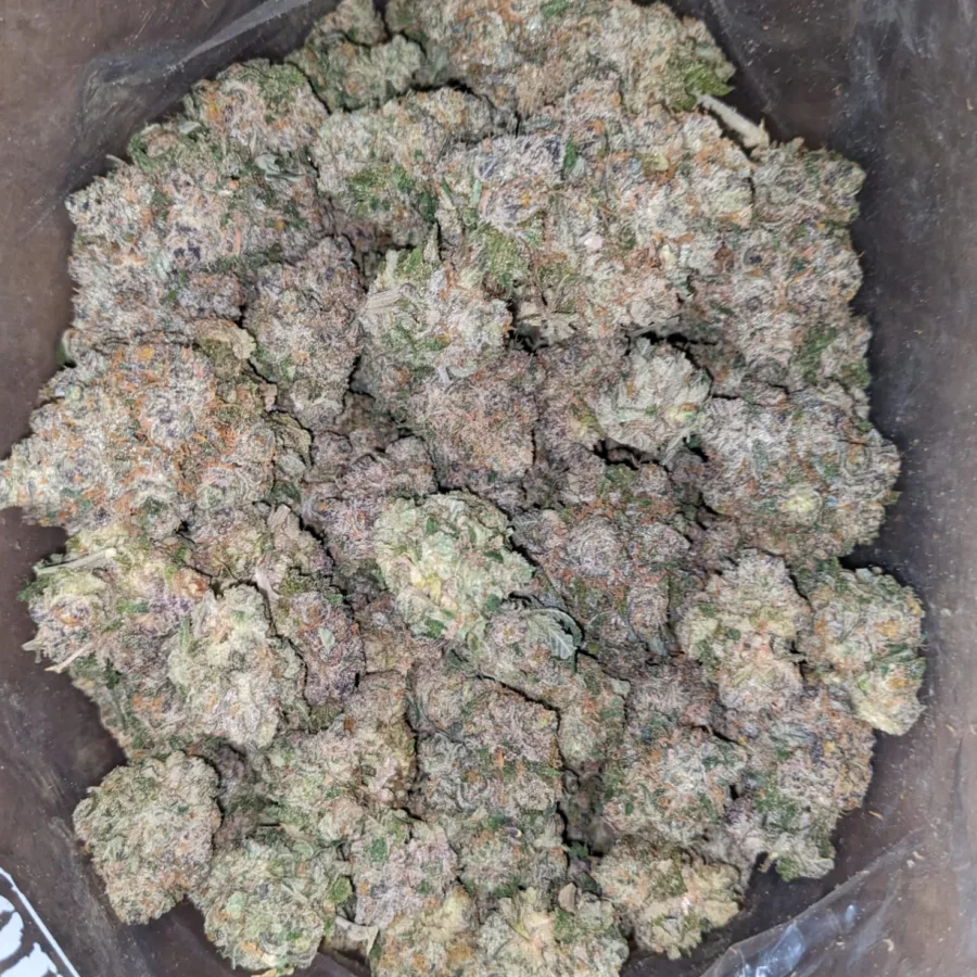 Alternative view of Blueberry