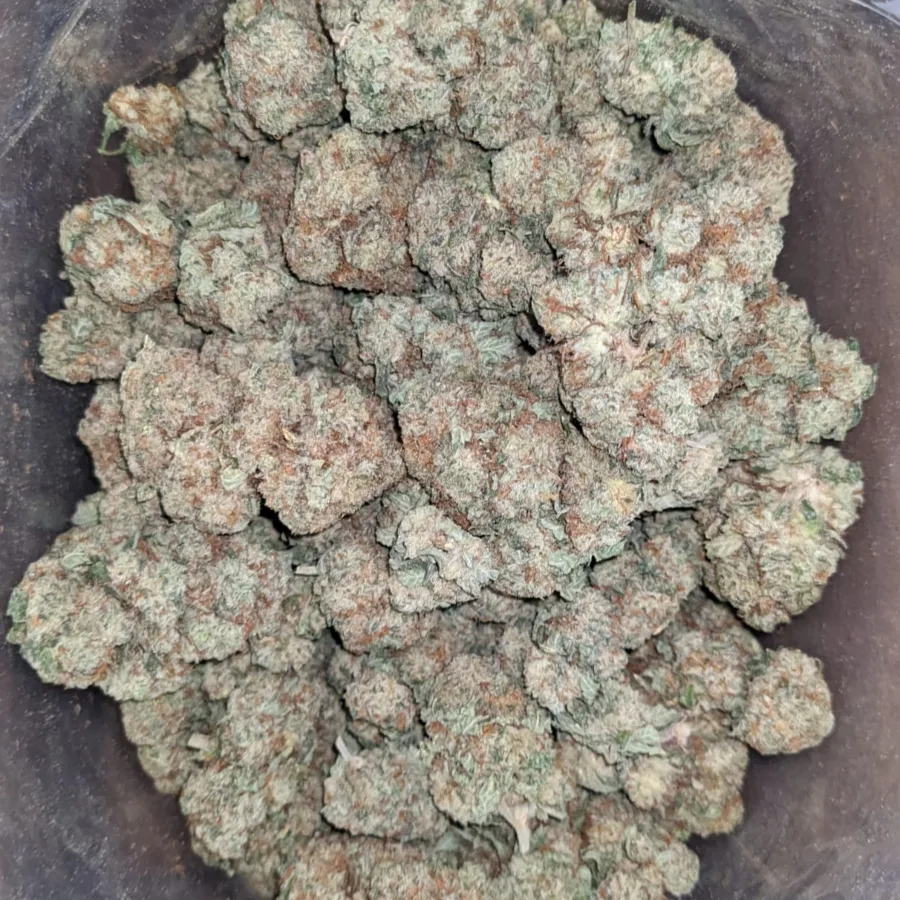 Boston Cream