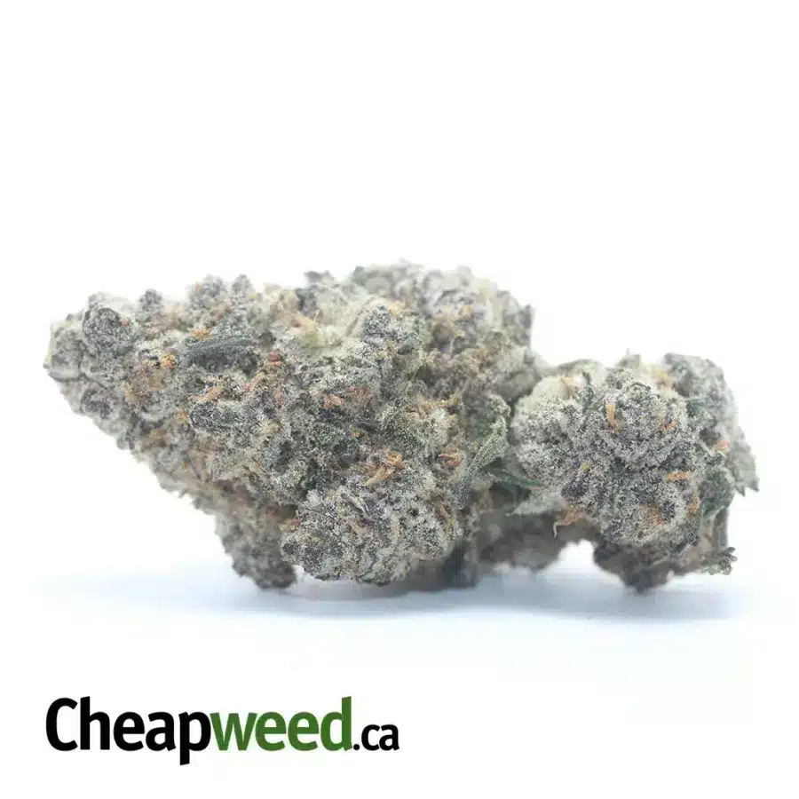 Candyland