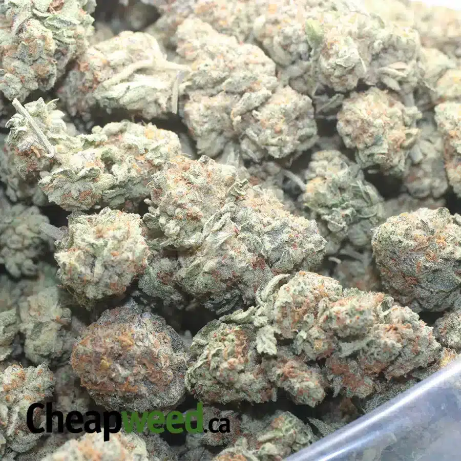 CHEM 91 1 I Chem 91