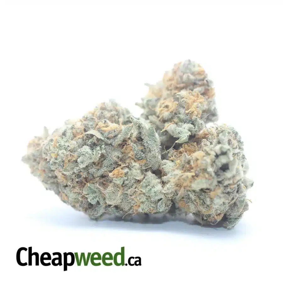 Chem Bomb