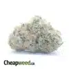 Chem De La Chem