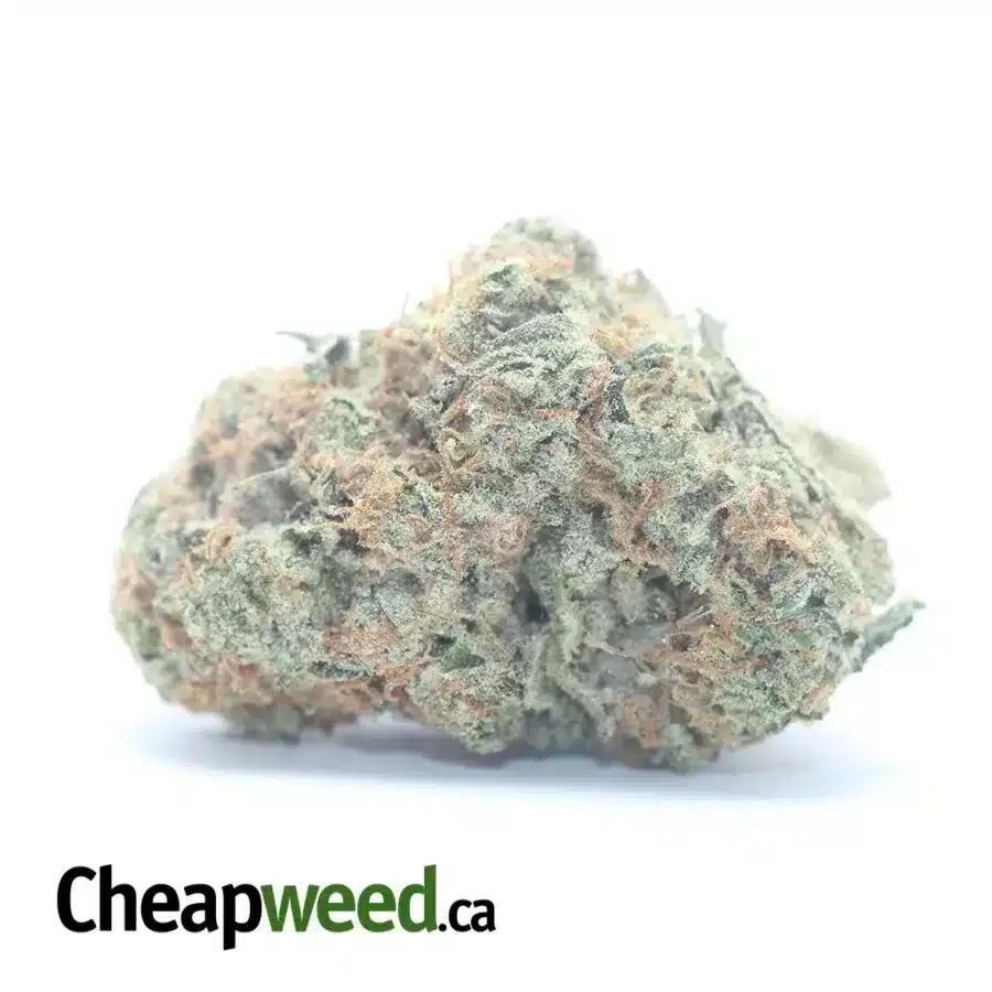 Chem De La Chem