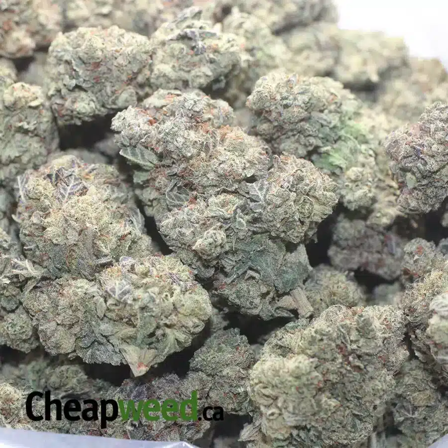 COOKIE AND CREAM FLAT 1 I $47oz Cookies N' Cream