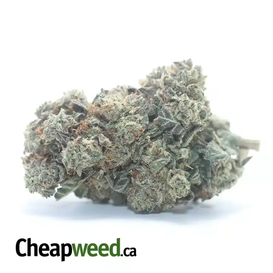 $47oz Cookies N' Cream
