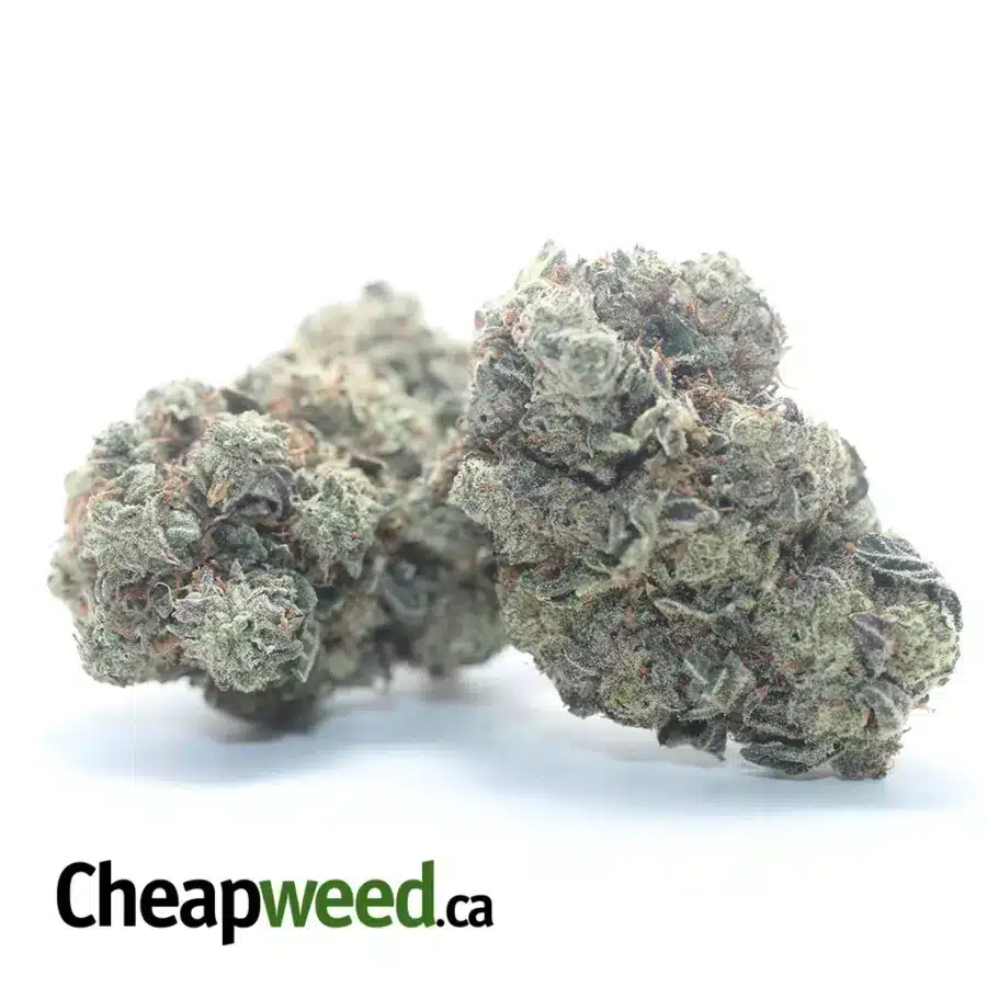 COOKIE AND CREAM FLAT 3 I $47oz Cookies N' Cream