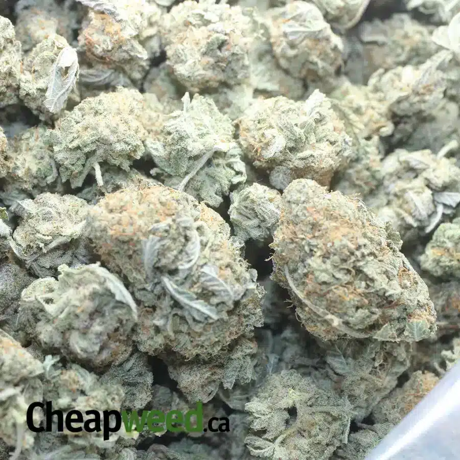 COOKIE WRECK 1 I $ 47 Oz - Cookie Wreck