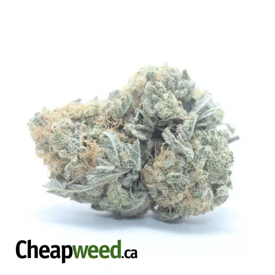 Cookie Wreck