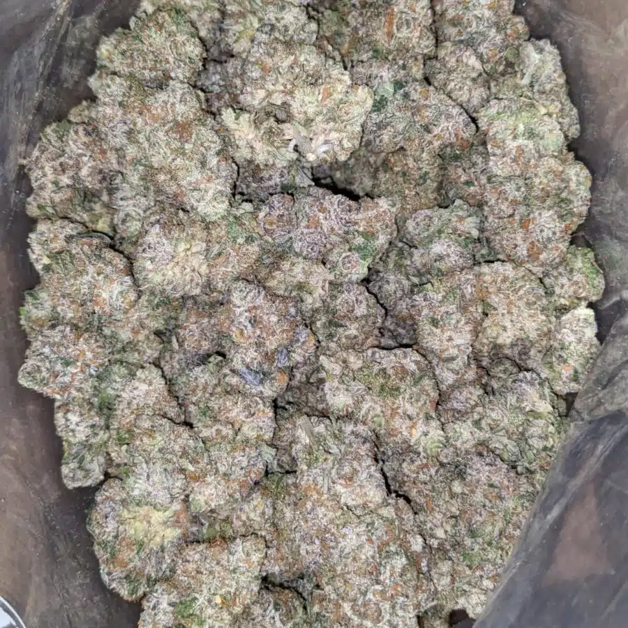 Alternative view of Candyland