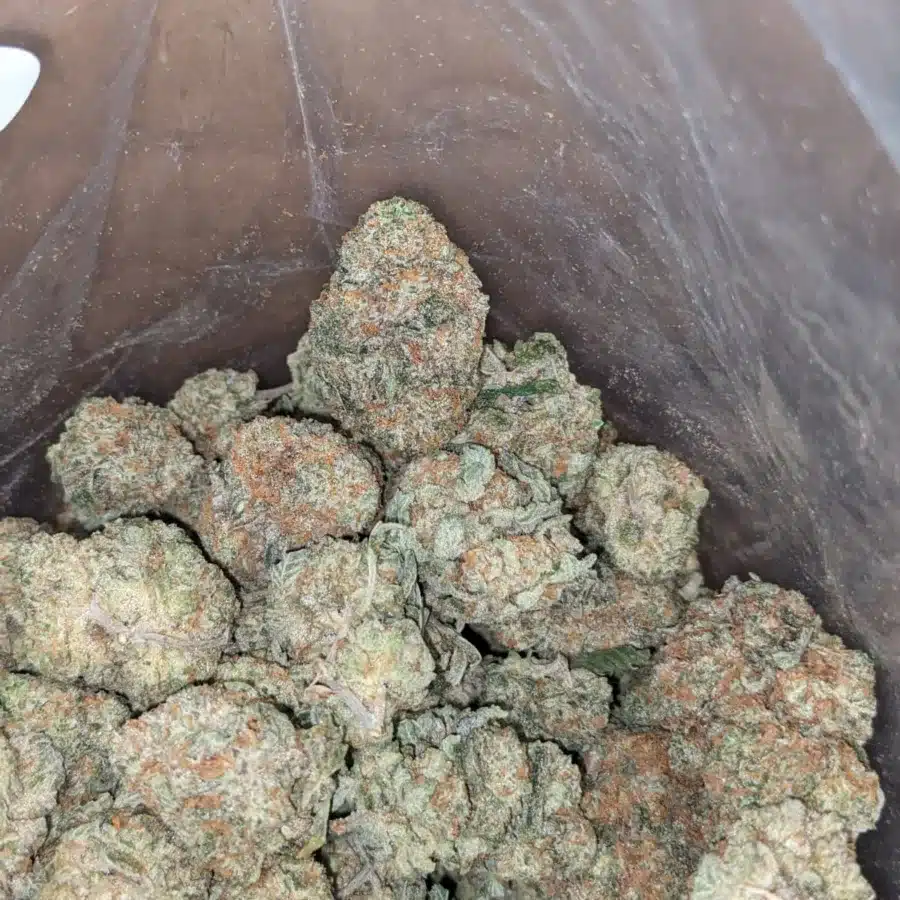 Chem De La Chem - Image 2