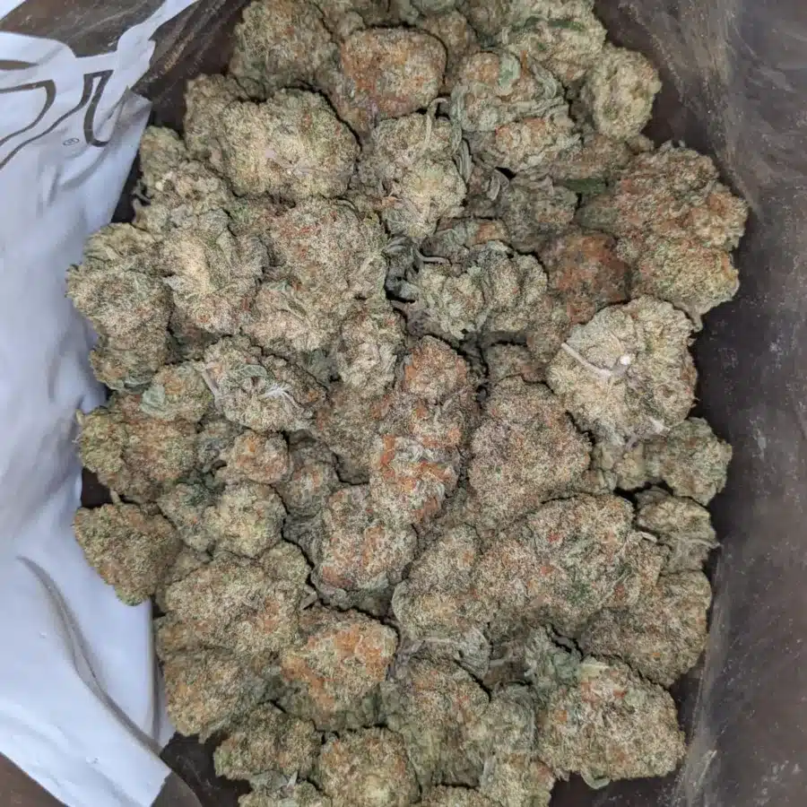 Chem De La Chem - Image 5