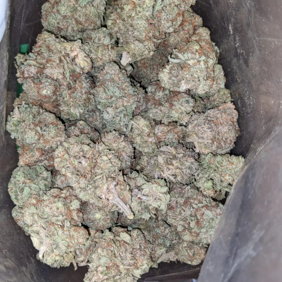 Cookie Monster