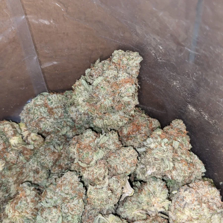 Cookie Monster - Image 5