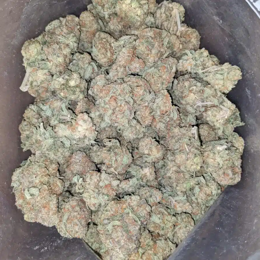 Cookie Monster 4 I Cookie Monster #2