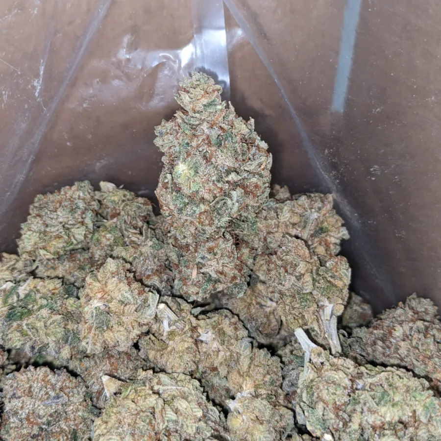 Alternative view of Crunchberries