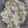 Crunchberries