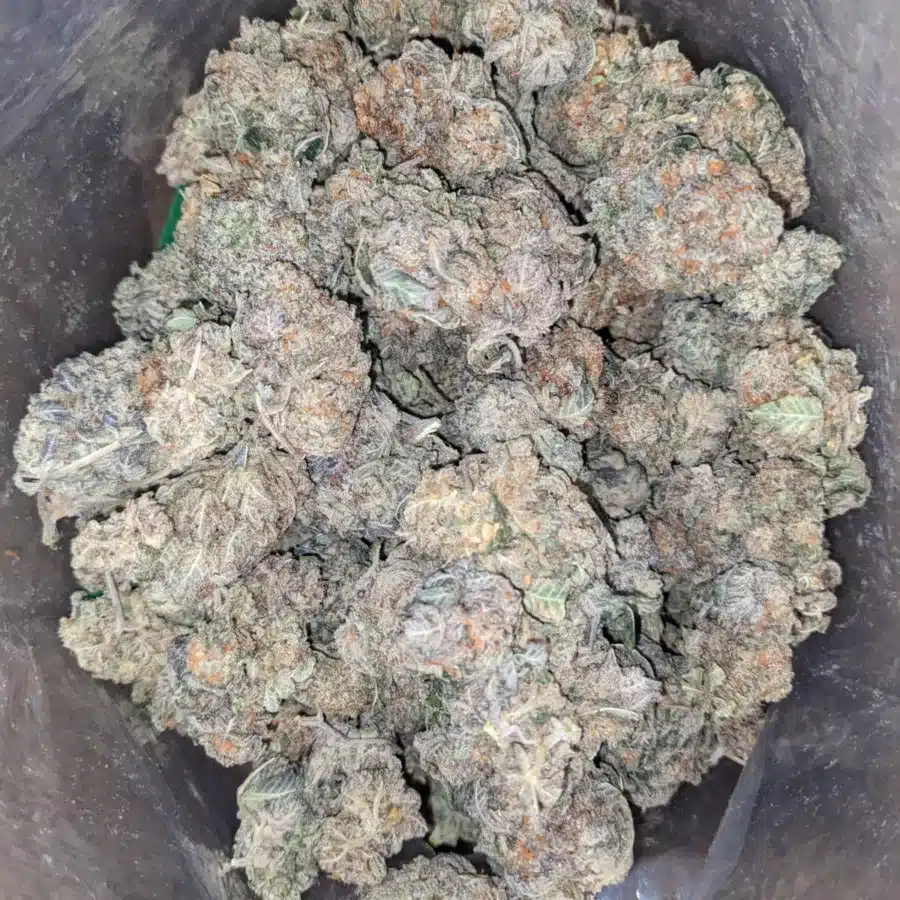 Crunchberries