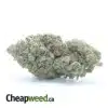 Double OG