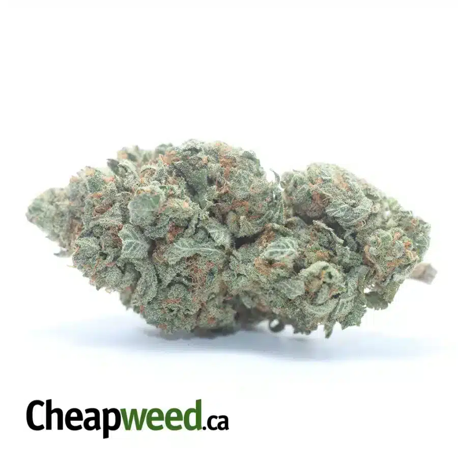 Double OG