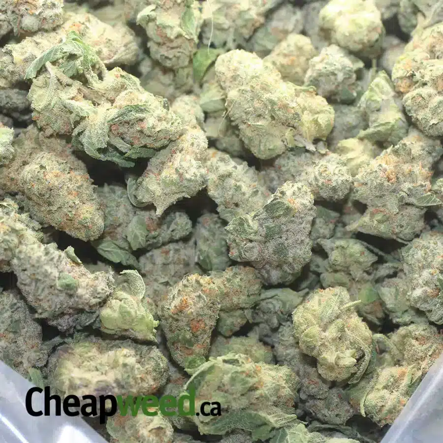 Fruity Pebbles (Smalls) - Image 3