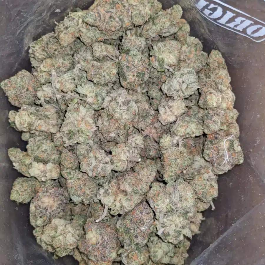 Fruit Punch - Image 7