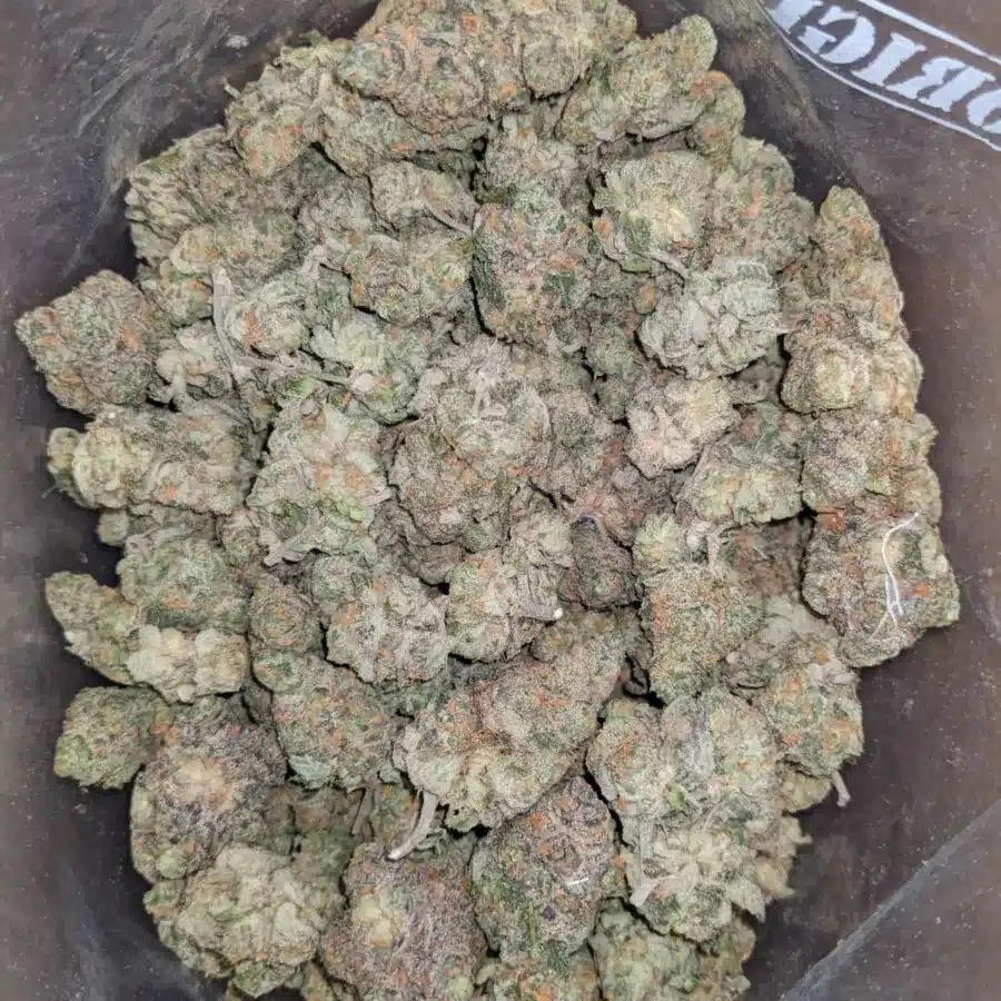 Fruit Punch