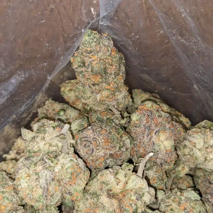 Fruit Punch - Image 6