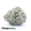 Ghost Train Haze