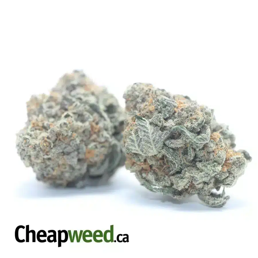 Alternative view of Ghost Train Haze