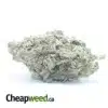 $50oz GMO Cookies