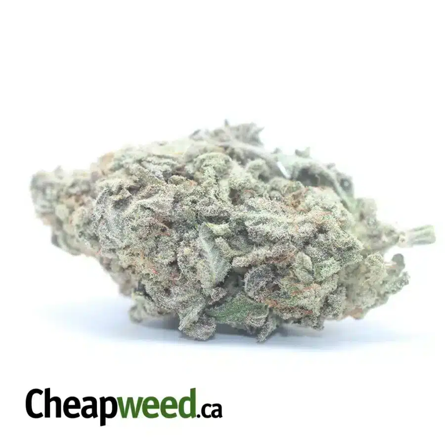 $50oz GMO Cookies
