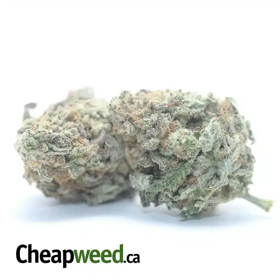 Alternative view of $50oz GMO Cookies