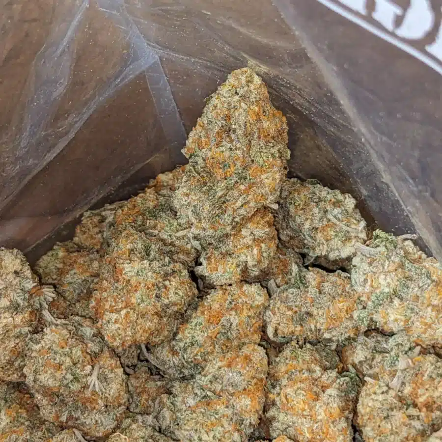 Ghost Train Haze 1 1 I Ghost Train Haze
