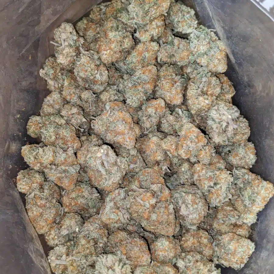 Alternative view of Ghost Train Haze