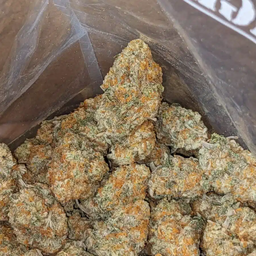 Ghost Train Haze 3 1 I Ghost Train Haze