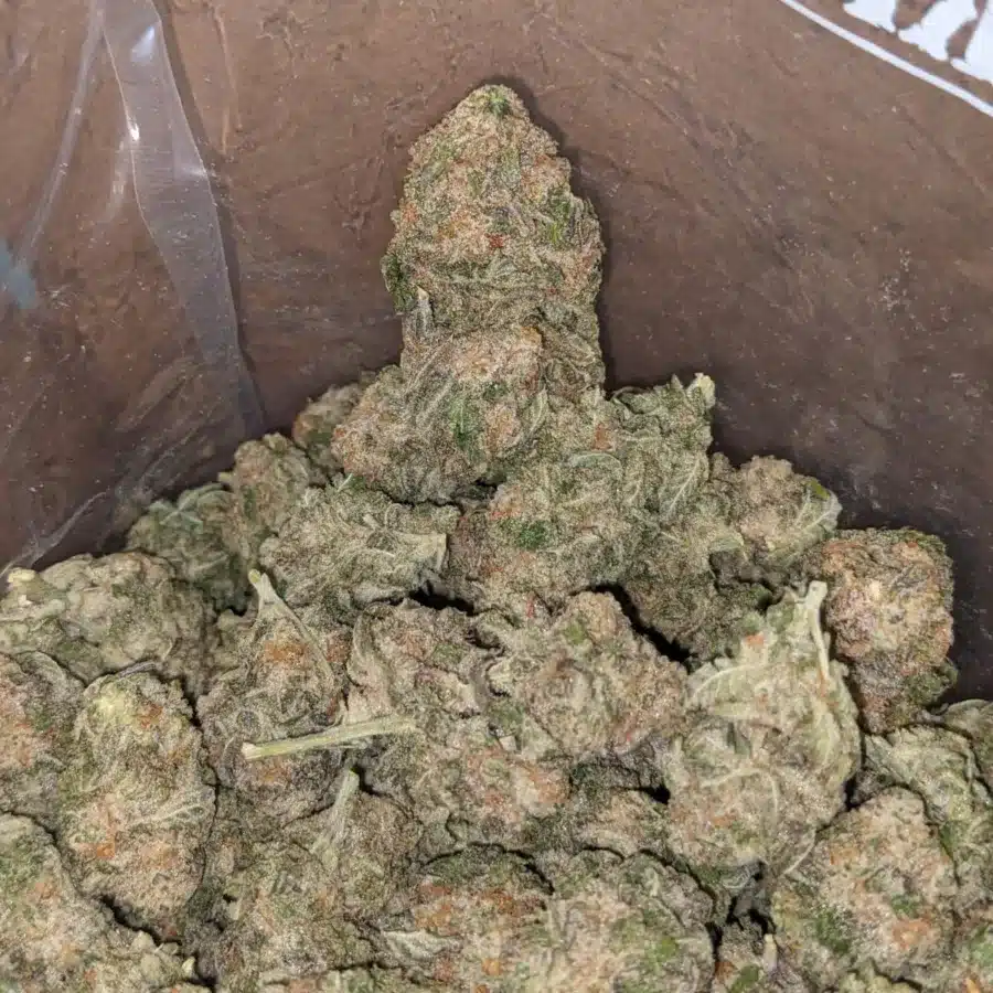 Gmo Cookies 4 I GMO Cookies