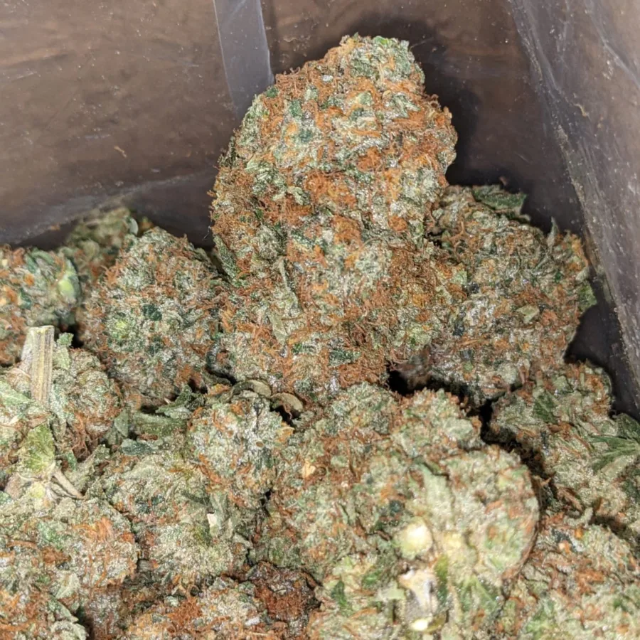 God Bubba - Image 5