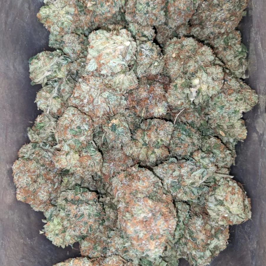 God Bubba