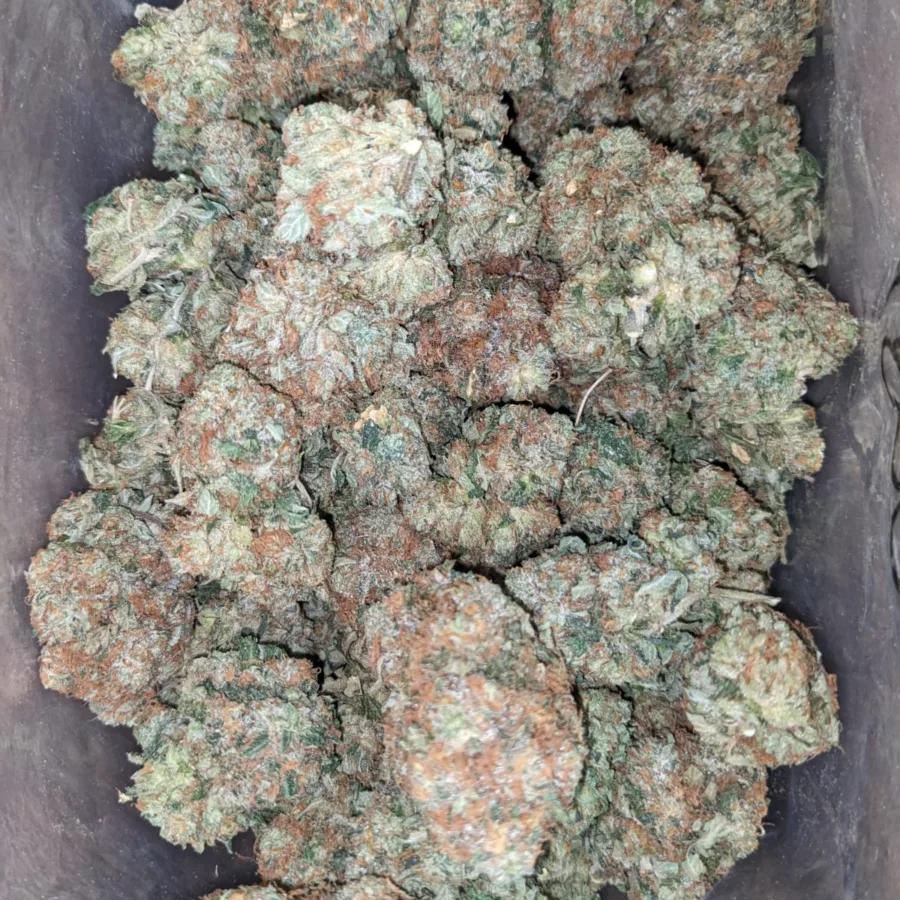 God Bubba - Image 3