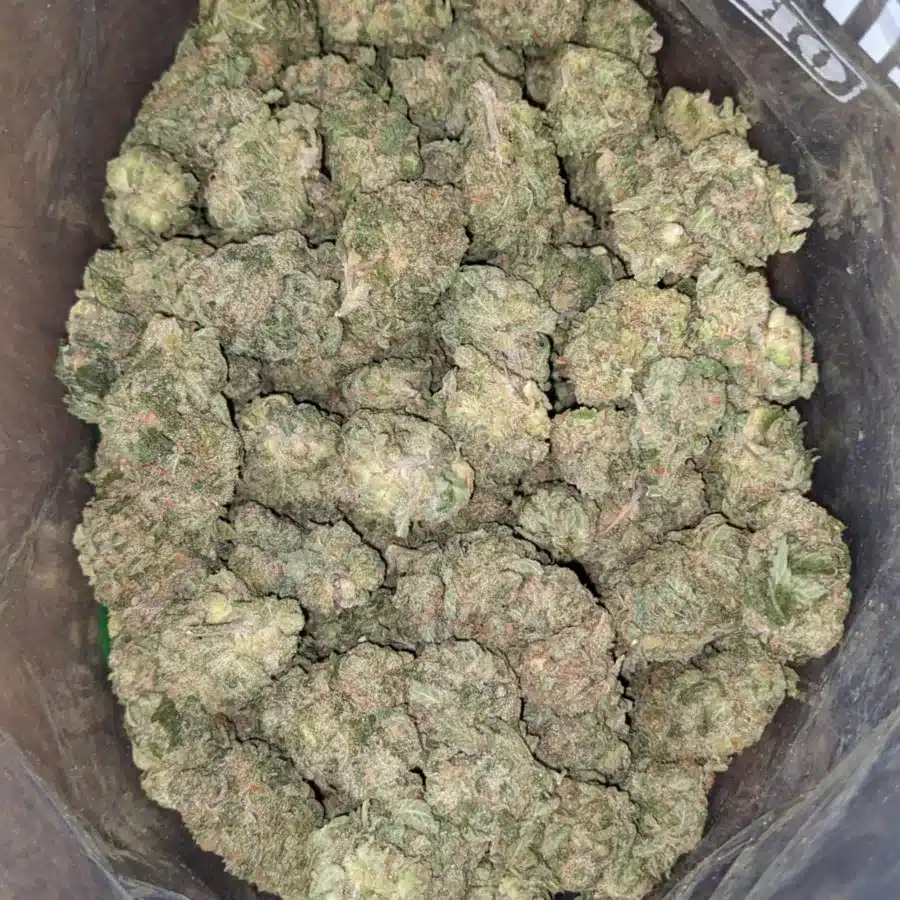 Green Goblin