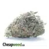 Jack Herer