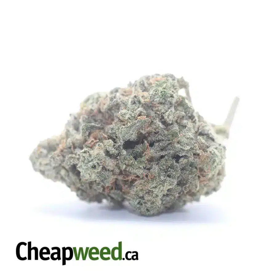 $ 48 Oz - Jack Herer