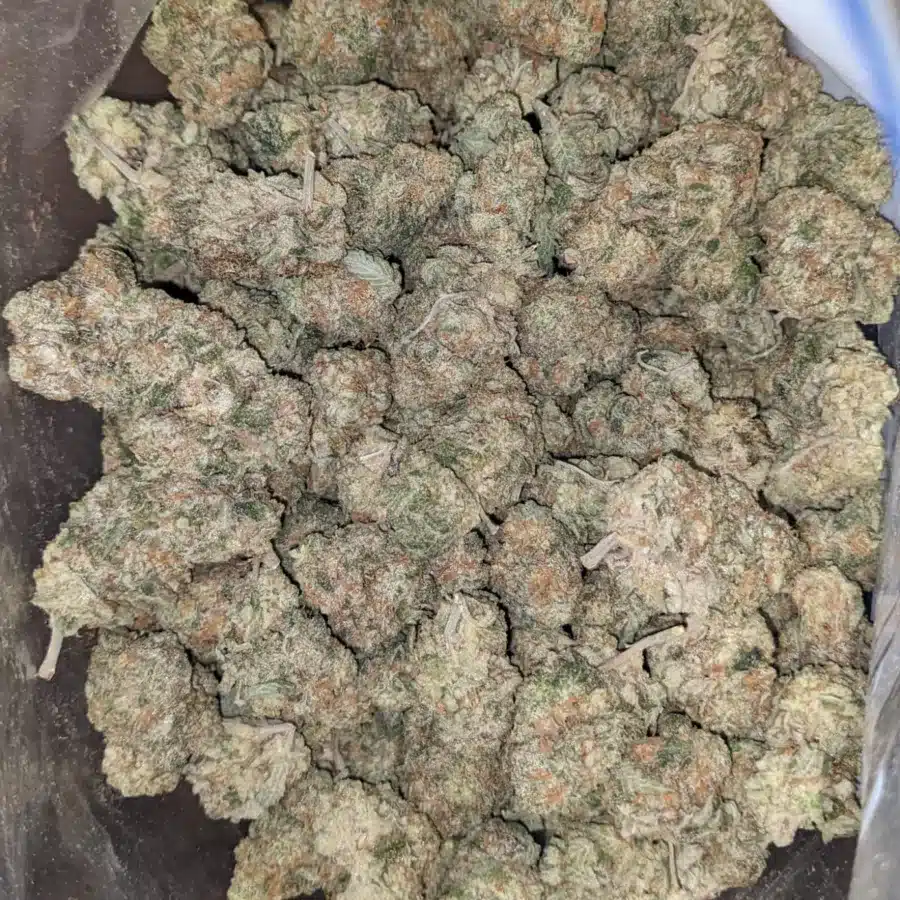$ 48 Oz - Jack Herer
