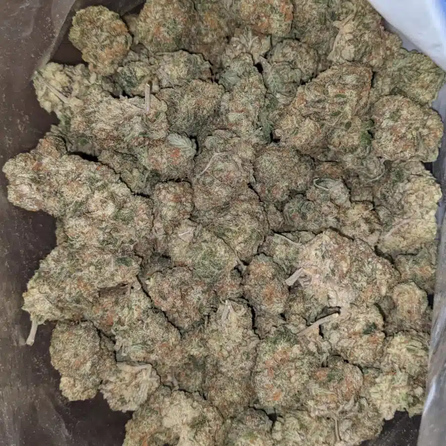 Alternative view of $ 48 Oz - Jack Herer