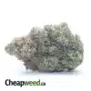 King Louis XIII