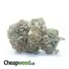 OG Kush