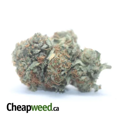 KUSH OG 1 I Legacy