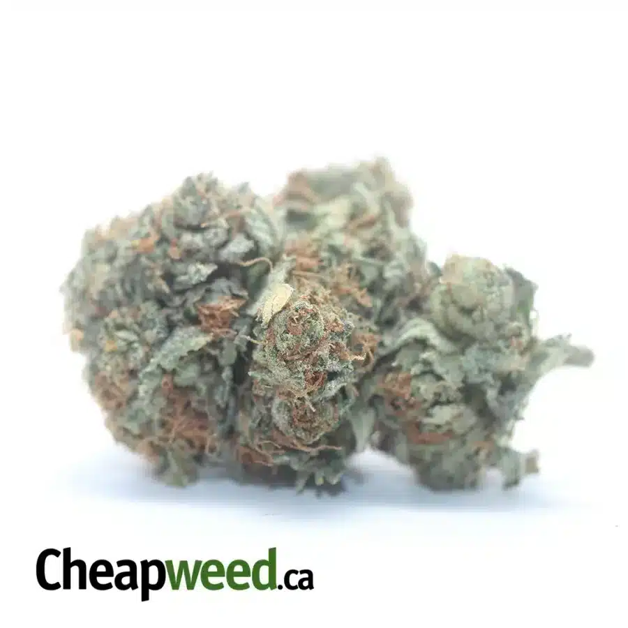 OG Kush