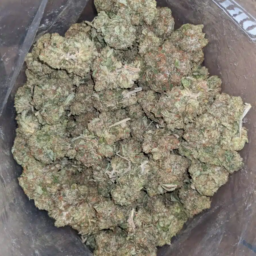 King Bubba Kush