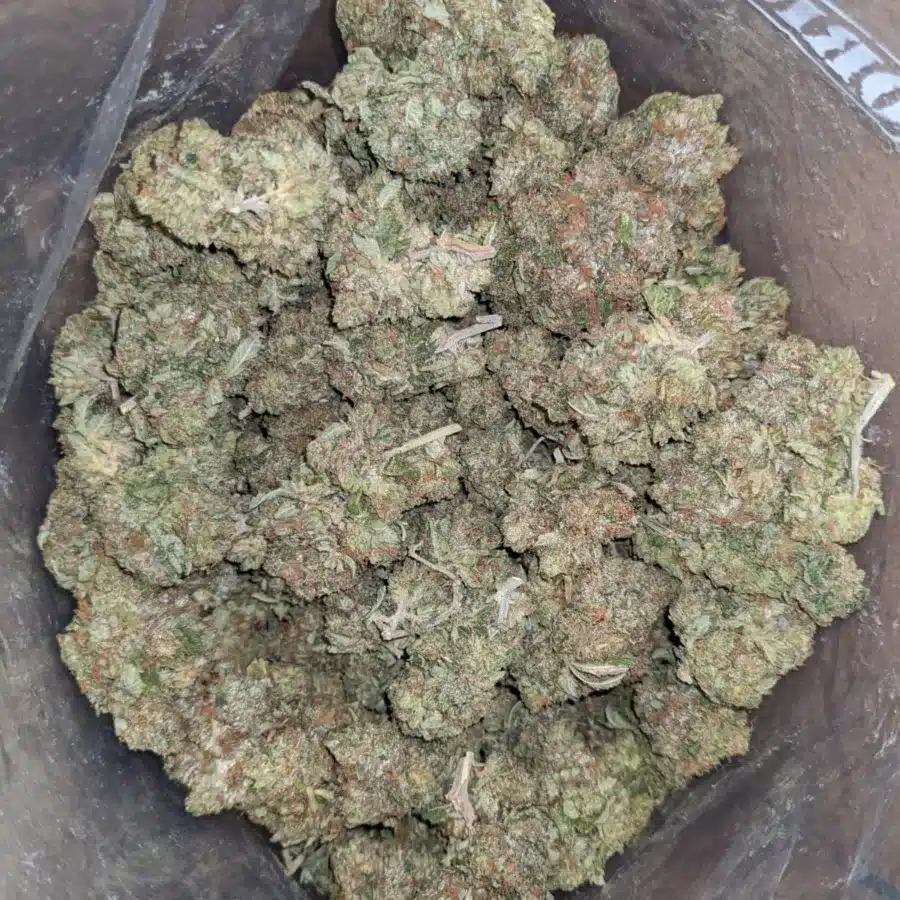 King Bubba Kush 2 I King Bubba Kush